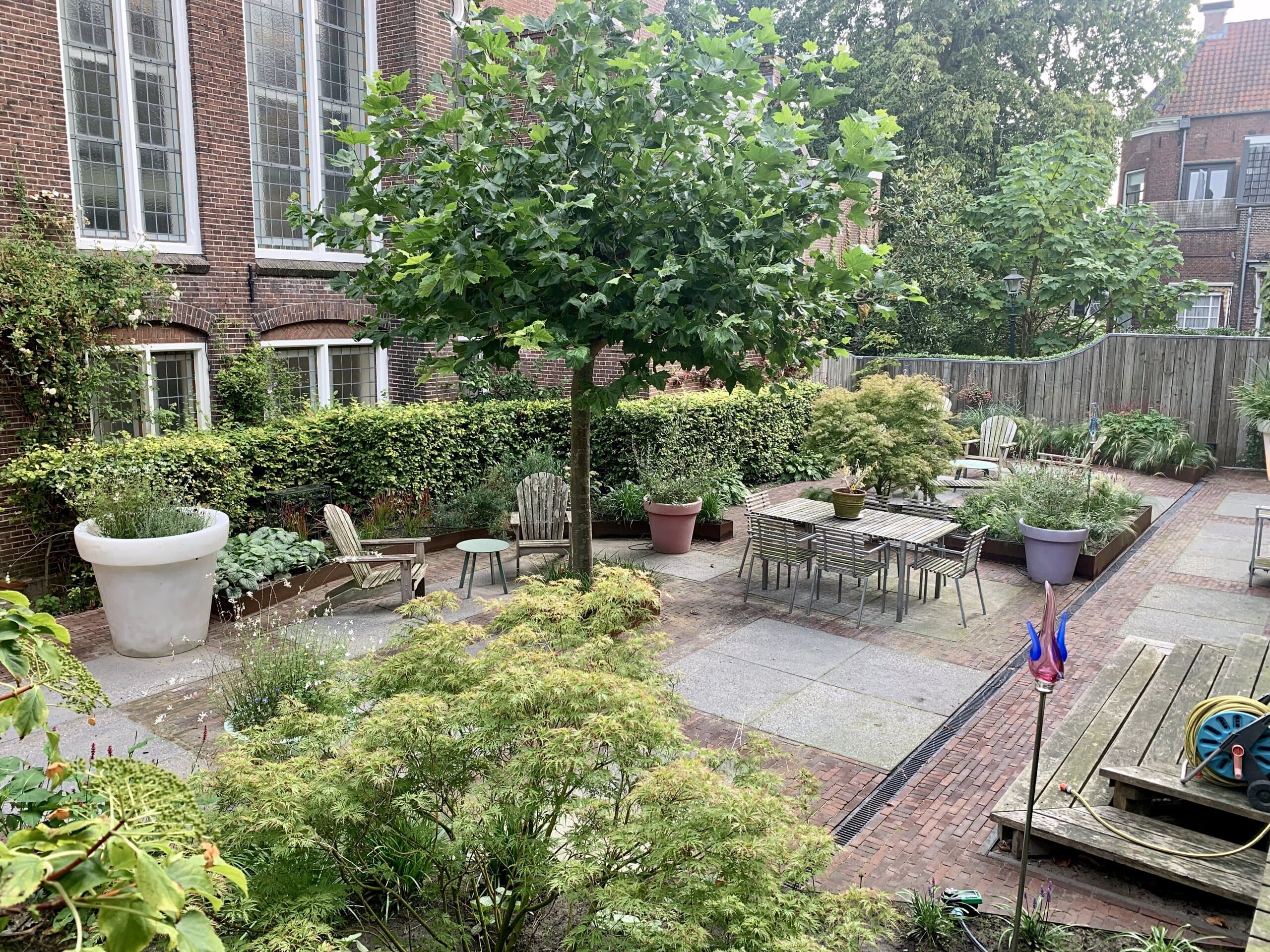Overzicht van de stadstuin met een breed uitgegroeide boom boven het terras, een eettafel en klinkers met grijze tegelvlakken