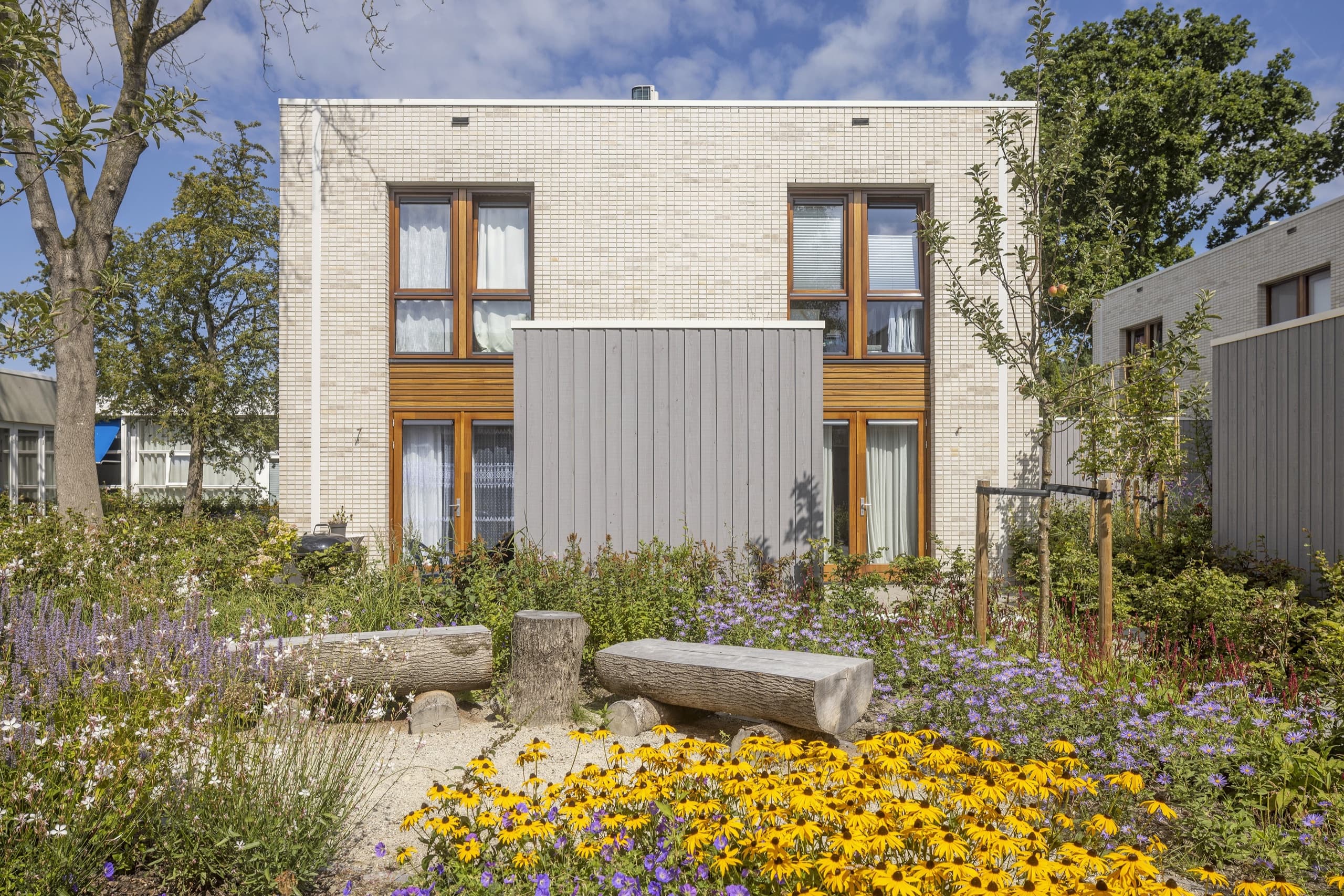 Onderhouden voortuin met een volle border van gele zonnehoed, paarse asters en siergrassen rond twee boomstamzitbanken, voor een woning met houten kozijnen